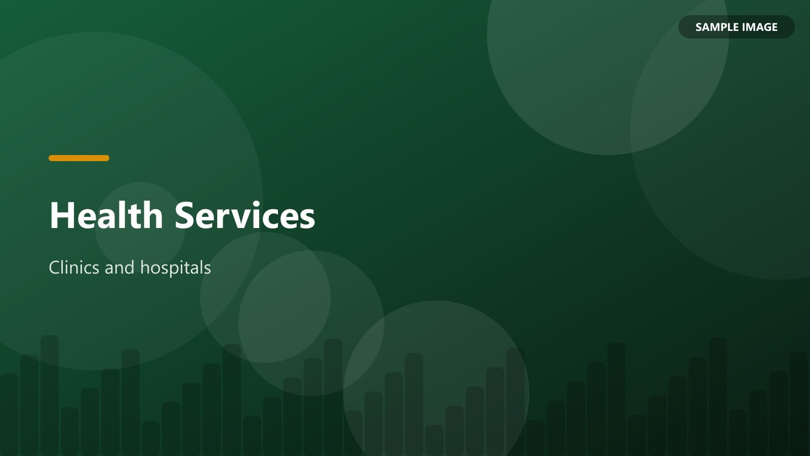 Health Services