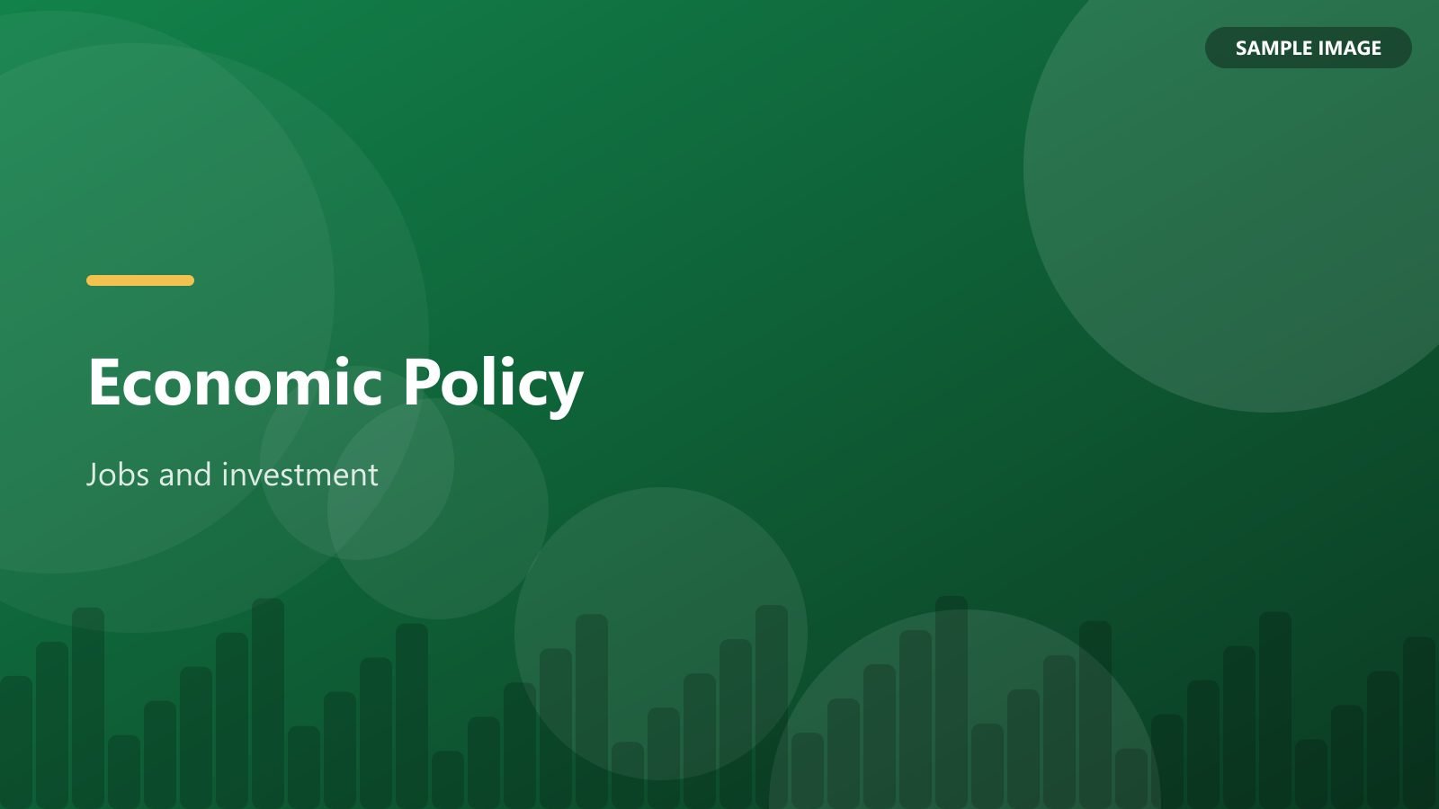 Economic Policy